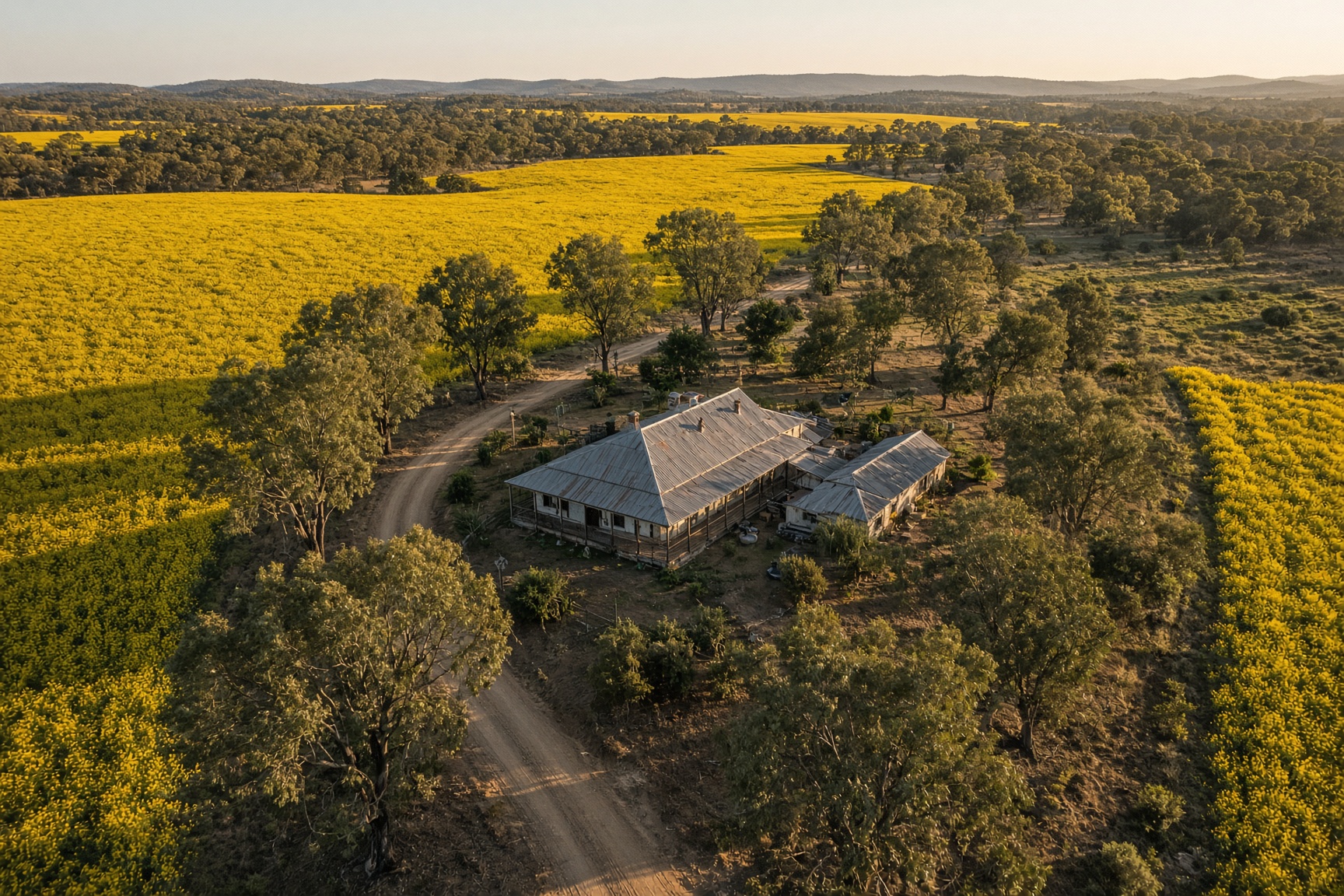 Rural farm homestead surrounded by flowering canola crops, aerial photography in Central Victoria